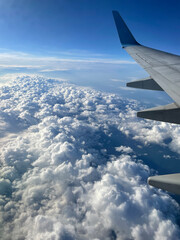The wing of a passenger aircraft