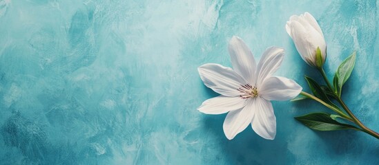 Elegant summer greetings with handwritten quote and white flower on calming blue background for seasonal promotions and designs.