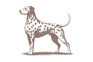 Dalmatian dog vector | dog vector | dog illustration | dog silhouette | dog tattoo | dog engraving | dog