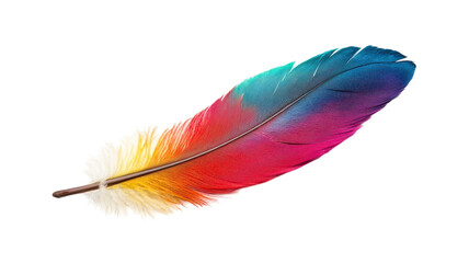 Vibrant and Decorative Feather with Bright Colors for Creative Inspirations and Artistic Projects.