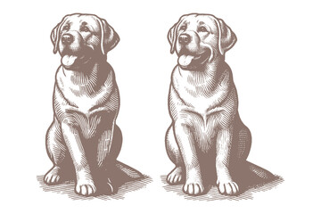 dog vector illustration