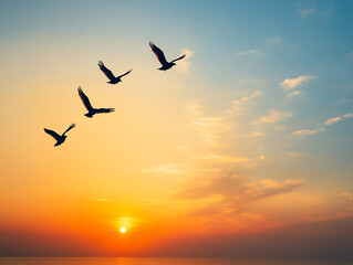 Fototapeta premium birds in the sunset