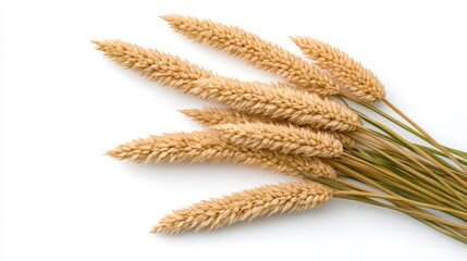 A cluster of golden grass spikes arranged in a natural formation, showcasing a soft and delicate texture against a white background.