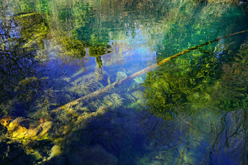 Amazing nature of Bosnia and Herzegovina: view of the surface of a clean calm river with reflection of trees and visible through the water algae and a sunken tree trunk. Colorful natural background.