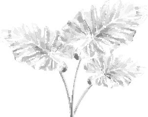 plant leaves with a dotted halftone pattern 