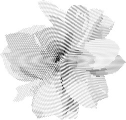 flower with a dotted halftone pattern on a white backing