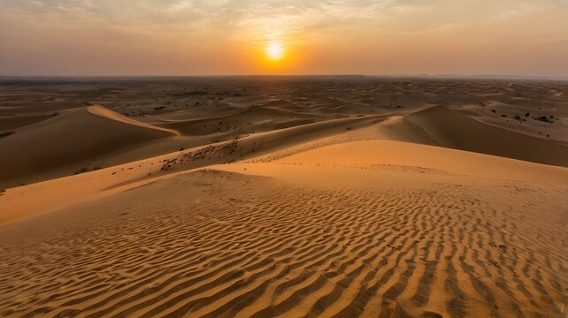 sunset in the desert - Powered by Adobe