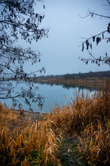Autumn morning on the blu lake with fog , reflections on water ,landscape photography .Blue colors ,blue water ,mystery weather on the ponf.Forest near the pond , morning landscape at autumn season