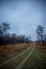 Beautiful road in the field and forest,autumn landscape in woodlands.Mystery and rainy weather with blue and grey sky, forest nature after the rain, road to the forest , water on the road.Wild nature 
