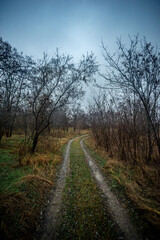 Beautiful road in the field and forest,autumn landscape in woodlands.Mystery and rainy weather with blue and grey sky, forest nature after the rain, road to the forest , water on the road.Wild nature 