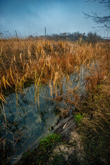 Fototapeta premium Autumn morning on the blu lake with fog , reflections on water ,landscape photography .Blue colors ,blue water ,mystery weather on the ponf.Forest near the pond , morning landscape at autumn season
