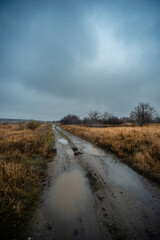 Beautiful road in the field and forest,autumn landscape in woodlands.Mystery and rainy weather with blue and grey sky, forest nature after the rain, road to the forest , water on the road.Wild nature 