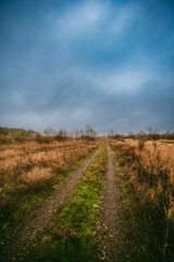 Beautiful road in the field and forest,autumn landscape in woodlands.Mystery and rainy weather with blue and grey sky, forest nature after the rain, road to the forest , water on the road.Wild nature 