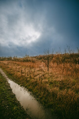 Beautiful road in the field and forest,autumn landscape in woodlands.Mystery and rainy weather with blue and grey sky, forest nature after the rain, road to the forest , water on the road.Wild nature 