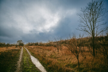 Beautiful road in the field and forest,autumn landscape in woodlands.Mystery and rainy weather with blue and grey sky, forest nature after the rain, road to the forest , water on the road.Wild nature 