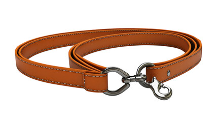 A stylish brown leather dog leash with a metal clip for walking pets outdoors in a sunny environment.