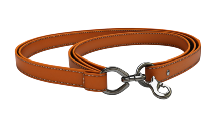 A stylish brown leather dog leash with a metal clip for walking pets outdoors in a sunny environment.