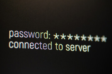 Connecting to server on personal computer. Entering password to log in secure server, danger and safety of online browsing concept