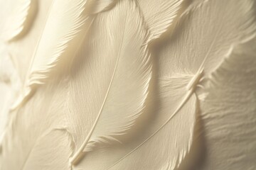 Close-up of soft, creamy white feathers arranged in an overlapping pattern, showing delicate texture and subtle lighting.
