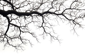 Fototapeta premium Tree without leaves, with dry bare branches watercolor illustration. Gothic driftwood Halloween decoration. Countryside isolated from background. For seasonal design winter, autumn.