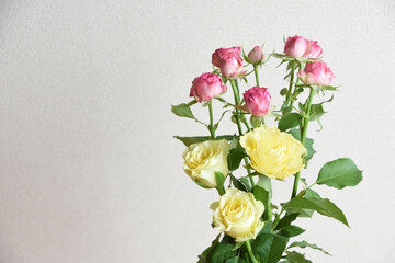 ピンクと黄色のばら