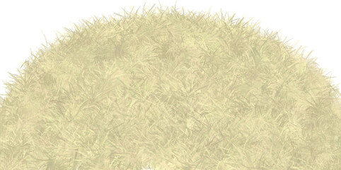 Grass, watercolor cartoon style grass