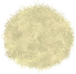 Grass, watercolor cartoon style grass