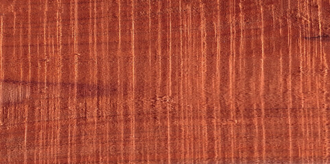 the structure of the wood of the juniper