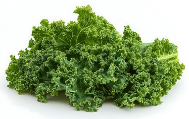 Fototapeta premium Fresh, vibrant green kale leaves isolated on white background.