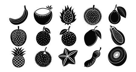 Tropical fruits silhouette on white background
