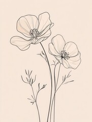 Flower Illustration