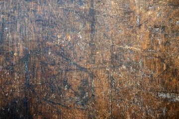 Old oak board with many cuts