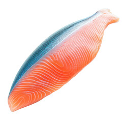 Fresh salmon fillet with vibrant orange color and distinct texture, showcasing its natural beauty and quality. Perfect for culinary presentations and healthy meals