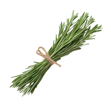 Fresh rosemary bundle tied with twine, perfect for cooking and garnishing. This aromatic herb adds flavor and fragrance to various dishes, enhancing culinary experiences