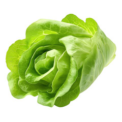 Fresh romaine lettuce with vibrant green leaves, perfect for salads and healthy dishes. Its crisp texture and rich color enhance any meal