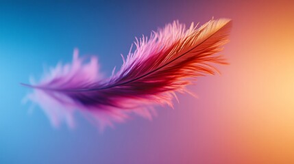 Obraz premium A vibrant feather in shades of purple and orange against a softly blurred background.