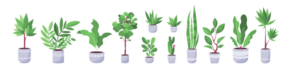 Plant set