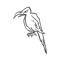 black and white line bird raven hand drawn illustration vector