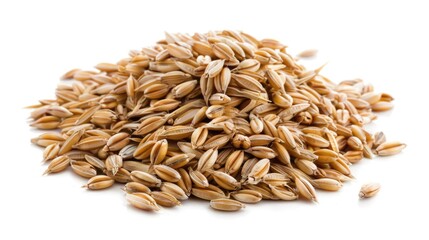 Obraz premium Malt Barley. Pile of Barley Seeds on White Background. Agriculture and Food Concept