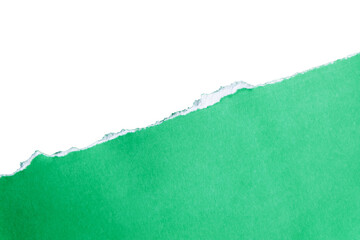 green torn paper with transparent background