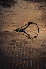 anchor on the sand resembling a heart shaped reflection