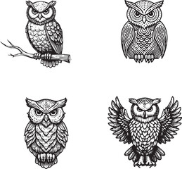 Diverse Owl Illustrations: A Study in Avian Art