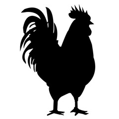 silhouette of a rooster icon, Simple Icon Vector Design, best used for presentation, application, web and banner