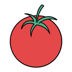 Hand drawn cartoon tomato on white background.