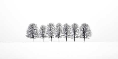 Row of trees are standing in a snow covered field