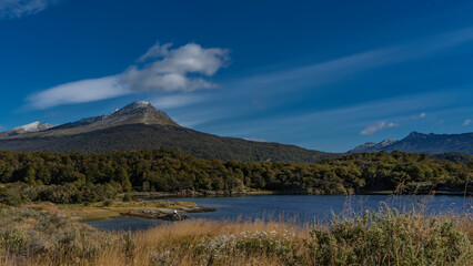 Obraz premium Beautiful autumn landscape of Patagonia. There are wildflowers and yellowed grass on the shores of the blue lake. Forest on the mountainside. A snow-capped peak against an azure sky and clouds.