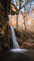 Fototapeta premium Curved Tree Over Autumn Waterfall in Basque Country Forest