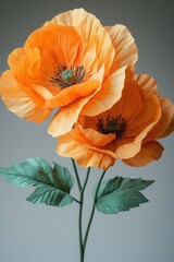 Two vibrant orange poppies with green leaves against a neutral background.