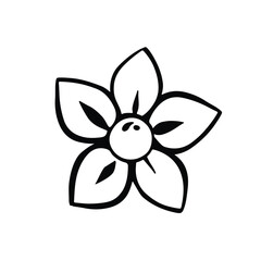 black and white line new year flower poinsettia hand drawn element vector