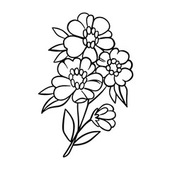 black and white line flower decorative hand drawn illustration vector